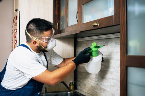 Walkertown, NC Pest Control Company